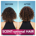 HERBAL ESSENCES COCONUT EXTRACT HELLO HYDRATION SHAMPOO 400 ML